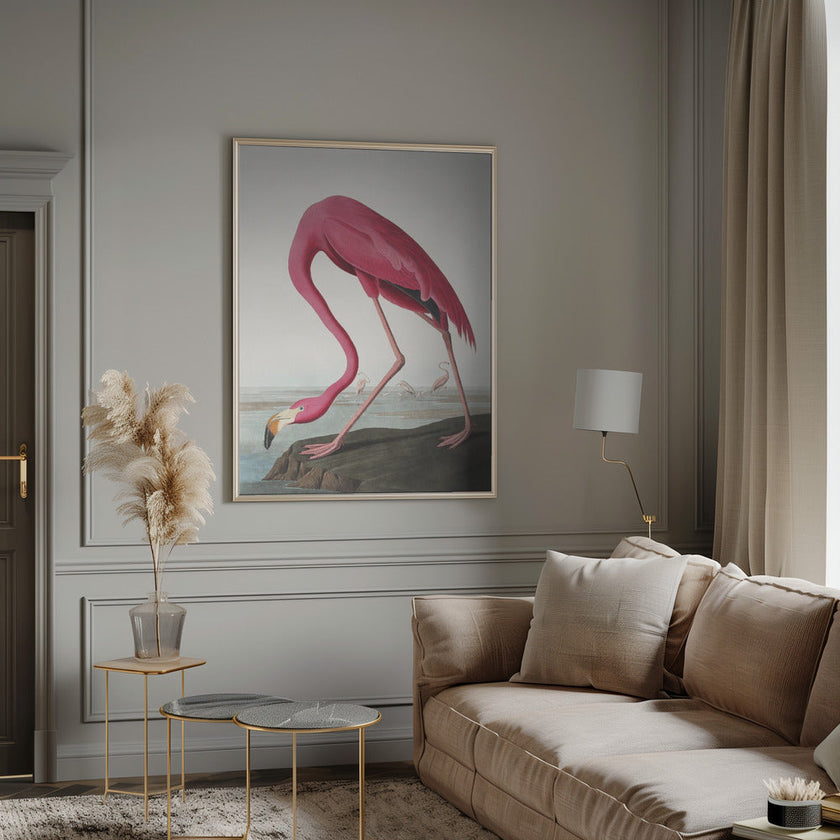 Pink Flamingo Ii From Birds of America (1827)