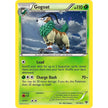 Gogoat - 19/146 (Cosmos Holo) (019/146) (BLE)