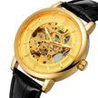 Men's Hollow-Out Mechanical Watch, Skeleton Dial Dress Watch in Gold, Silver and Black
