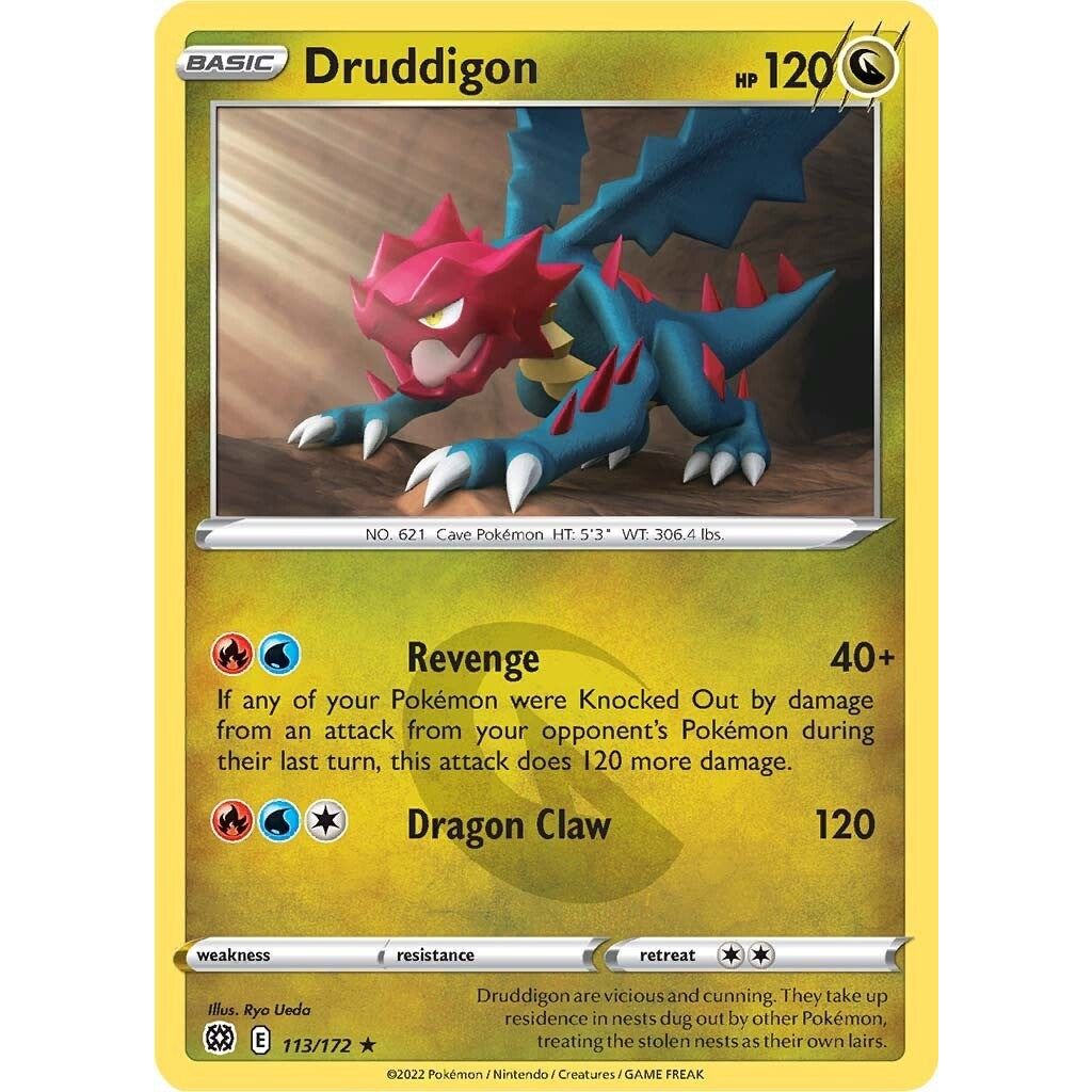 Druddigon (113/172) (SWSH09)