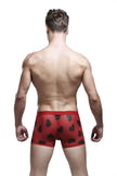 Spandex Mesh Printed Pouch boxer briefs  underwear men