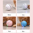 USB Rechargeable LED Rolling Cat Ball Toy with Feather & Bell – Blue, White, Gray, Pink