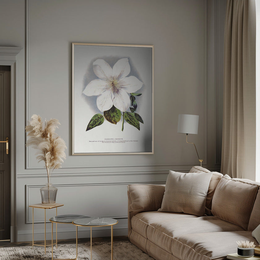 Wall Art Clematis Flower Lithograph