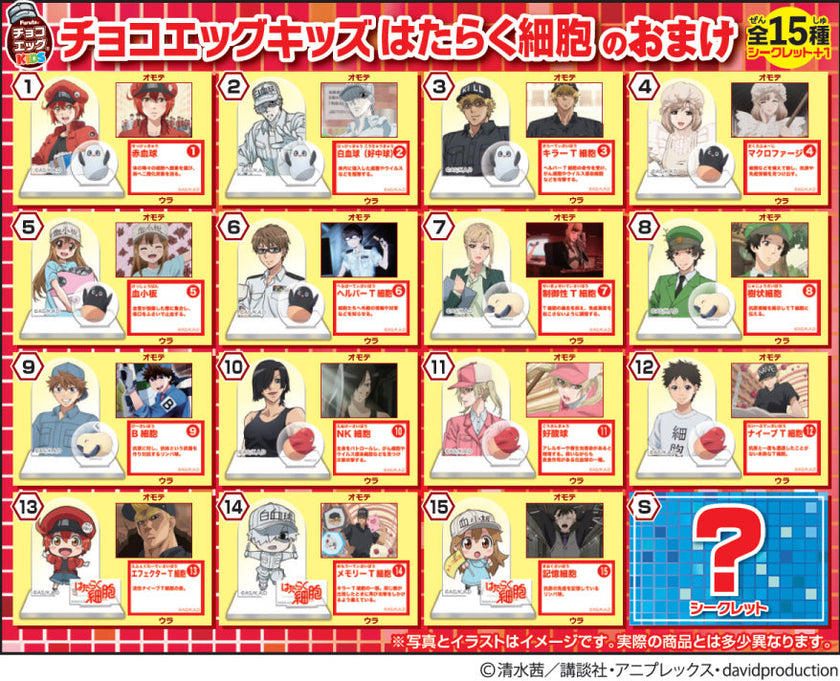 Furuta Cells at Work Surprise Choco Egg (20G) [Best Before Date: 2026.04]