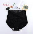 Women's Plus Size High-Waist Shaping Briefs Pant Seamless Belly Control