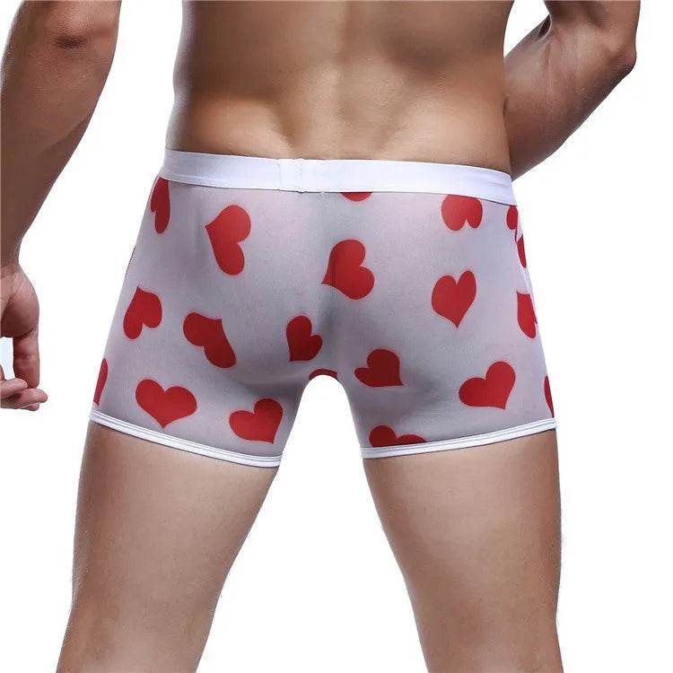 Spandex Mesh Printed Pouch boxer briefs  underwear men