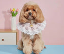 Marina Dog Bandana | Stylish Dog Clothes Accessory for Small and Large Dogs