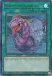 Moray of Avarice (POTE-EN084) - Power of the Elements Unlimited