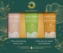Ellie Bianca - Hand Cream Trio Set (3pk)