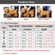 Coco Chewnel Harness Set | Dog Harness and Leash  Set