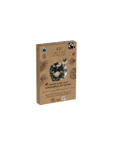Galerie au Chocolat - FT Mini Bar Drk Choc Ginger & Slt (40g)