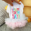 Birthday Suit Dog Dress – Luxury Celebration Outfit for Dogs