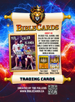 Armor of God Edition Bible Cards - Pack of 29 Trading Cards