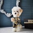 Fursace Signature Dog Tuxedo Suit | Formal Occasion Dog Outfit