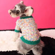Evergreen Classic Knit Dog Sweater | Warm Everyday Dog Sweater