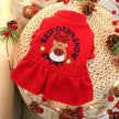 Reindeer Wishes Holiday Dog Dress | Christmas Occasion Outfit
