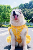 Daisy Spring Dress – Floral Luxury Dog Dress for Large Breeds