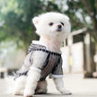 Jackson Dog T-Shirt | Sheer Stripe Dog Shirt