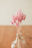 Bunny Tails