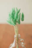 Bunny Tails