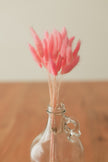 Bunny Tails