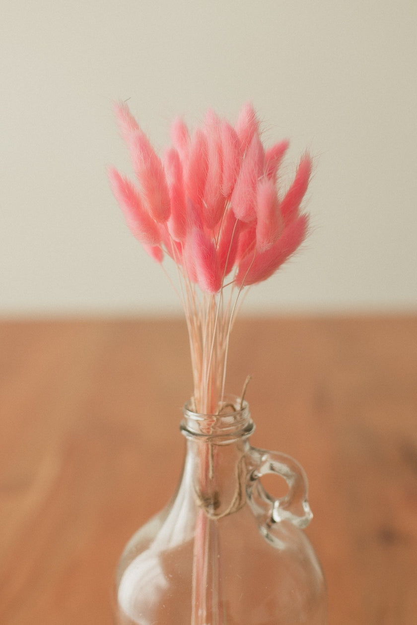 Bunny Tails