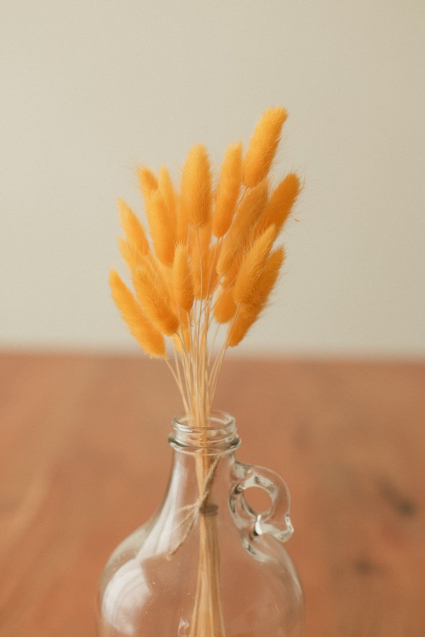 Bunny Tails