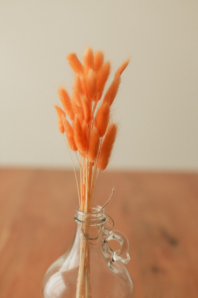 Bunny Tails