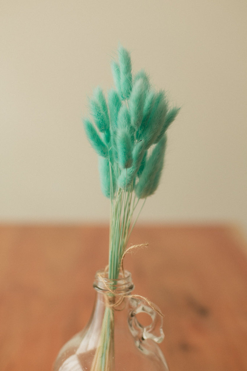 Bunny Tails