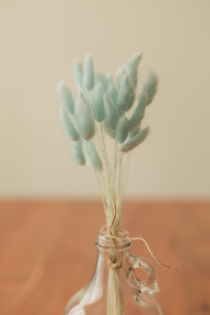 Bunny Tails