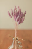 Bunny Tails