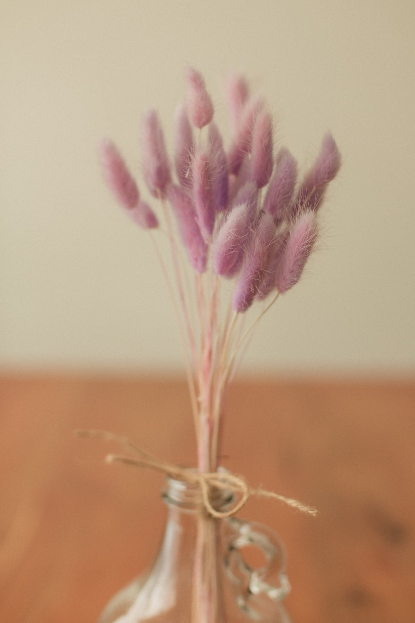 Bunny Tails