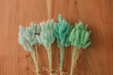 Bunny Tails