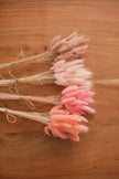 Bunny Tails