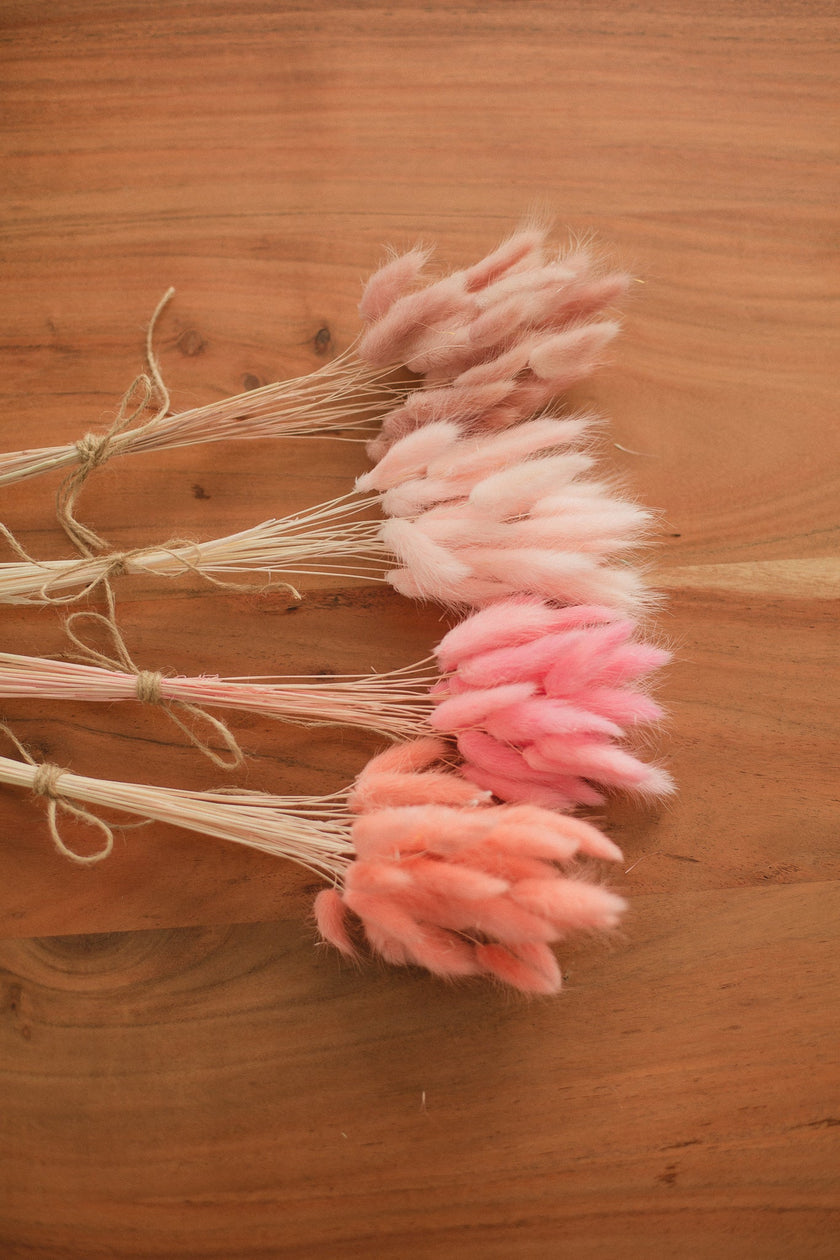 Bunny Tails