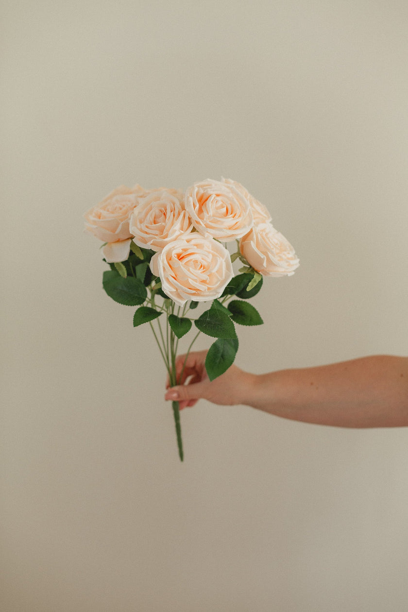 New Rose Bundle