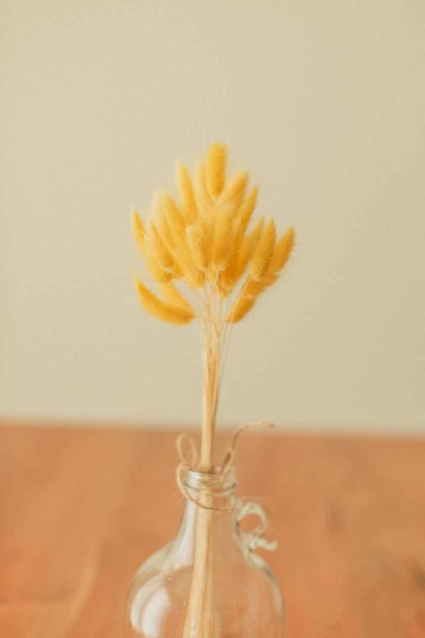 Bunny Tails