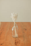 Glass Jug Vase