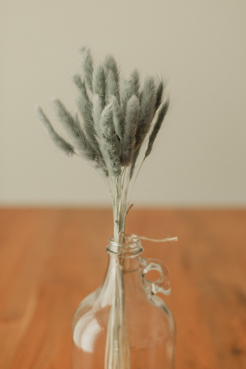Bunny Tails