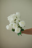 Fresh Rose Bundle