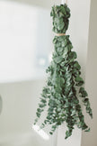 Eucalyptus Shower Bundle