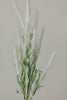 Amaranth Flowers