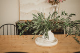 Italian Olive Stems