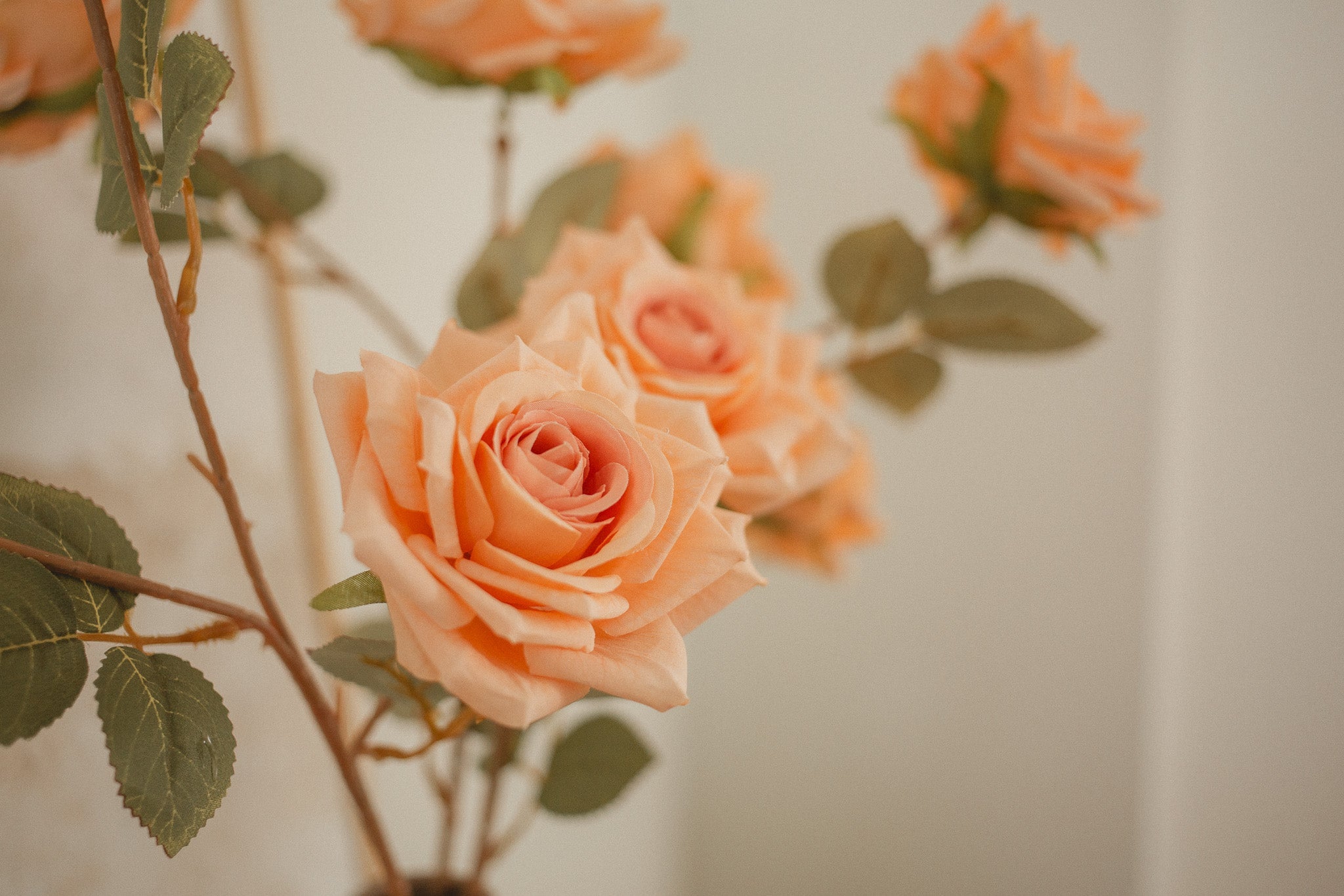 3 Blossom Rose Stem