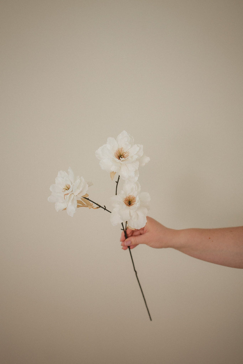 Wild Peony