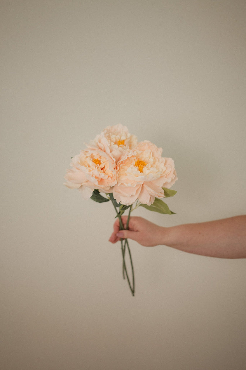 London Peony