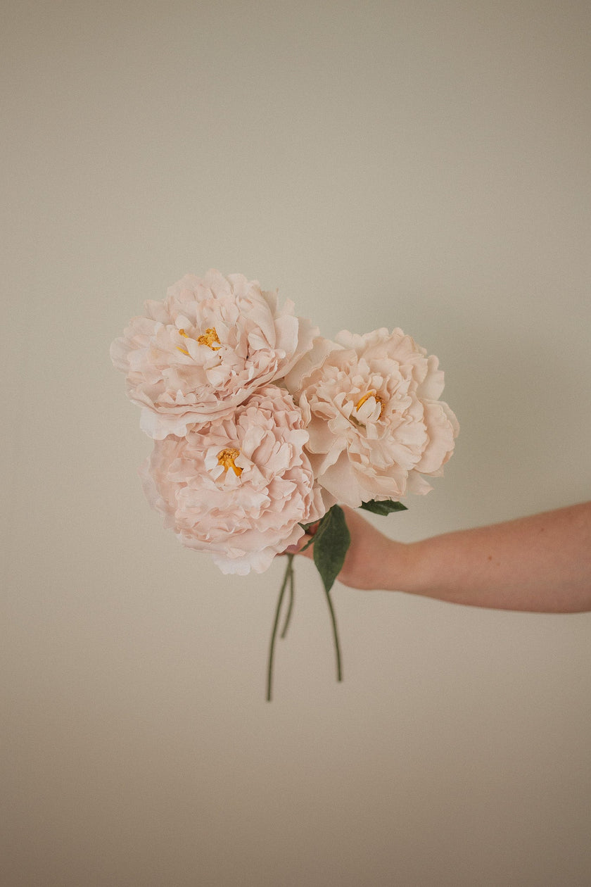 London Peony