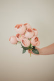 Perfect Peony Bundle