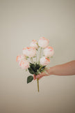 Perfect Peony Bundle
