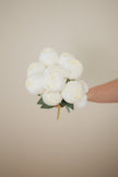 Perfect Peony Bundle